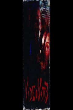Poster Videovore