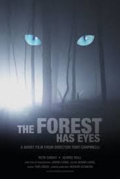 Poster The Forest Has Eyes