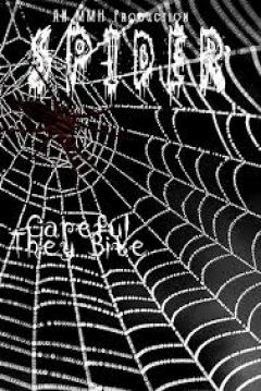 Poster Spiders