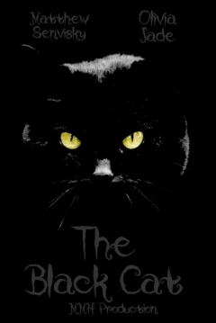 Poster The Black Cat
