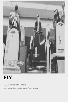 Poster Fly