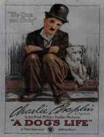 Poster Vida de Perro