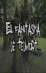 Poster El fantasma de Tedwort