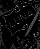 Poster Luna