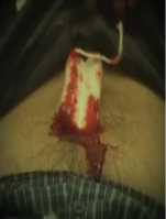 Poster Shof Shof Ñam Ñam