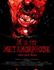 M Is for Metamorphose