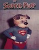 The Adventures of Superpup