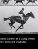 Sallie Gardner at a Gallop