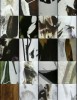 Mothlight