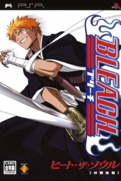 Poster Bleach: Heat the Soul