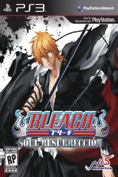 Poster Bleach: Soul Resurrección