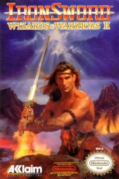 Poster IronSword: Wizards & Warriors II