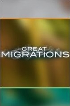 Poster Great Migrations