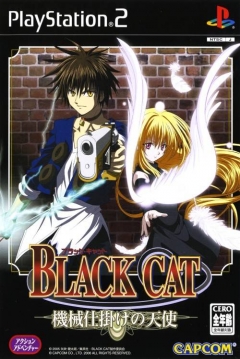 Poster Black Cat