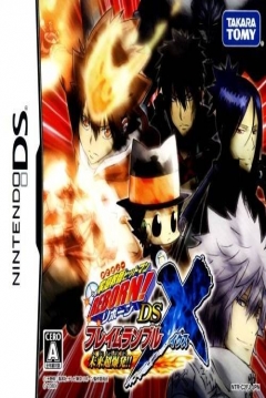 Poster Katekyoo Hitman Reborn! DS Flame Rumble X - Mirai Chou-Bakuhatsu!!