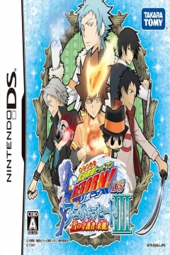 Poster Katekyoo Hitman Reborn! DS Fate of Heat III - Yuki no Shugosha Raishuu!