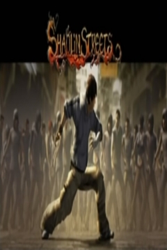 Poster Shaolin Streets