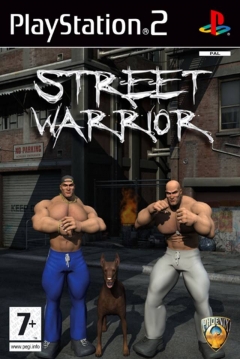 Poster Street Warrior