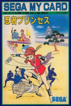 Poster Ninja Princess