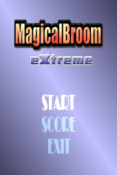 Poster Magical Broom Extreme