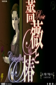 Poster Rose & Camellia
