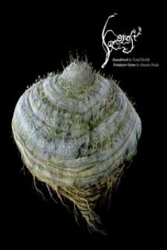 Poster Samorost