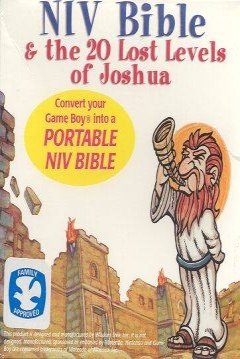 Poster NIV Bible & the 20 Lost Levels of Joshua