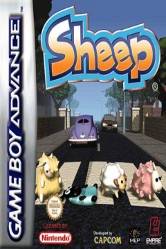 Poster Sheep