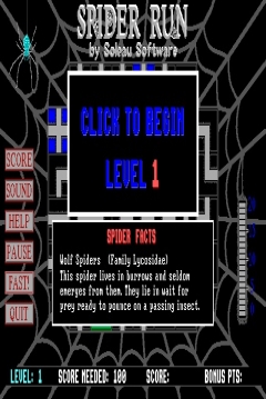 Poster Spider Run