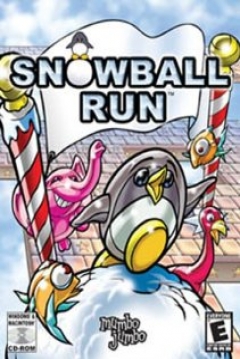 Poster Snowball Run