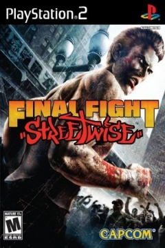 Poster Final Fight: Streetwise