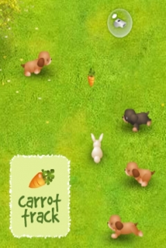 Poster Carrot Track