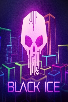 Poster Black Ice