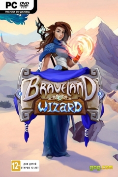 Poster Braveland Wizard