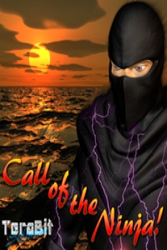 Poster Call of the Ninja!