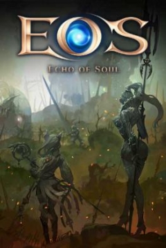 Poster Echo of Soul