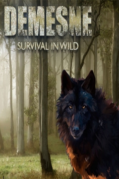 Poster Demesne