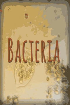 Poster Bacteria