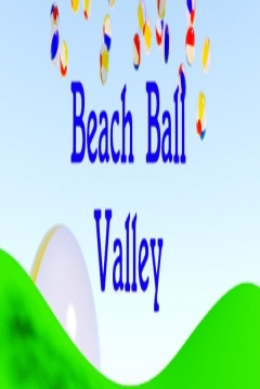 Poster Beach Ball Valley