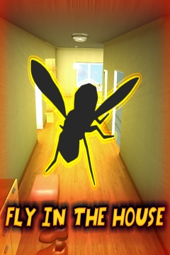 Poster Fly in the House
