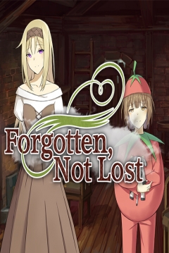 Poster Forgotten, Not Lost