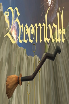 Poster Broomball VR