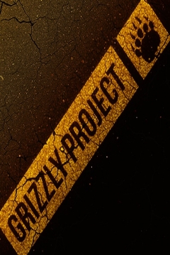 Poster Grizzly Valley