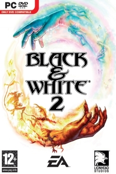 Poster Black & White 2