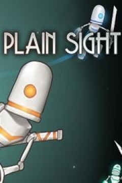 Poster Plain Sight