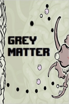 Poster Grey Matter