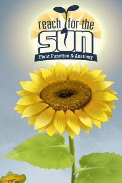 Poster Reach for the Sun