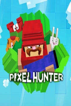 Poster Pixel Hunter