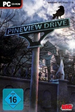 Poster Pineview Drive