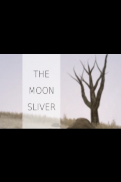 Poster The Moon Sliver